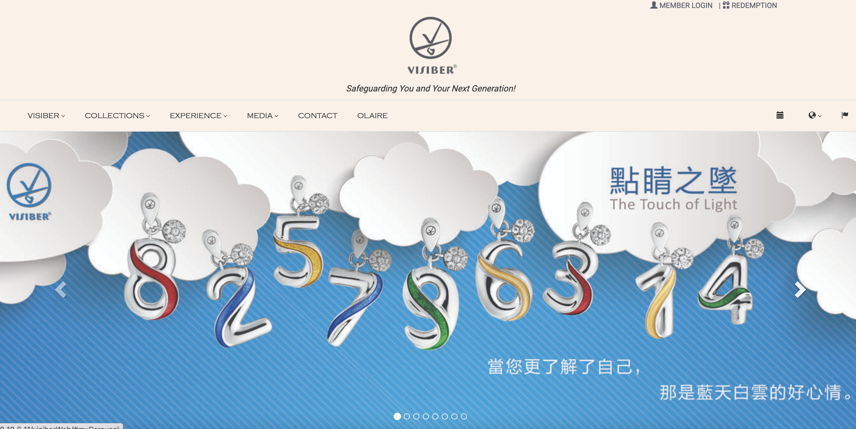 Visiber Website